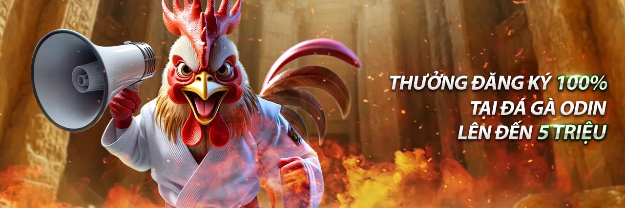 Bảo mật và hỗ trợ khách hàng tai qq88